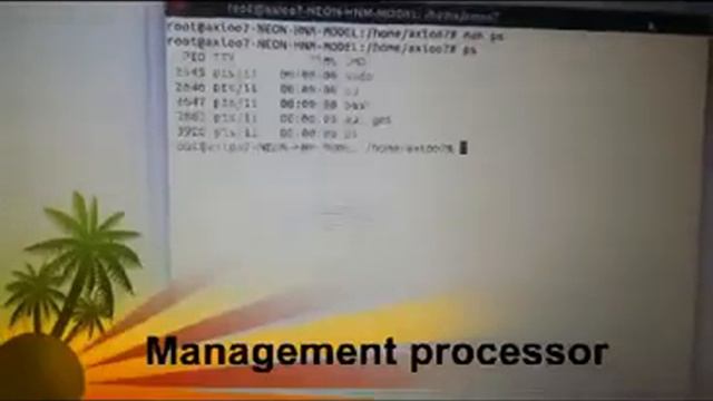 Management Processor in LINUX (pemula) смотреть онлайн