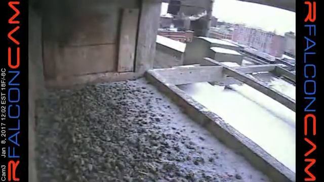 Camera 3 - 01/08/17 смотреть онлайн