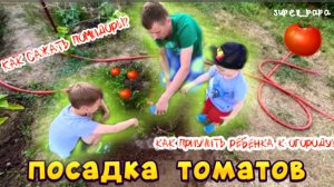 ПОСАДКА ТОМАТОВ/ Как приучить ребёнка к огороду? / Как сажать помидоры с детьми