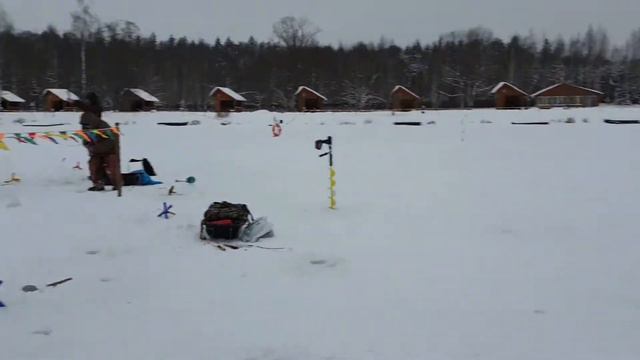 20 января 2021 запуск форели и обзор усадьбы зимой. смотреть онлайн