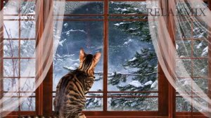 Релакс. Метель. Звуки камина/Relax.