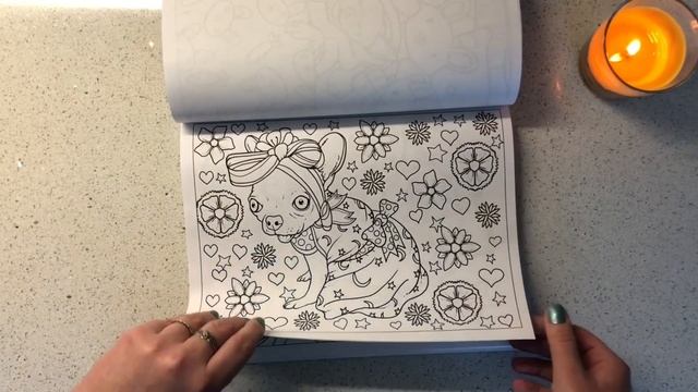Чихуахуа Обзор-пролистывание раскраски Chihuahuas Zen Master Adult Coloring books Chiwawa смотреть онлайн