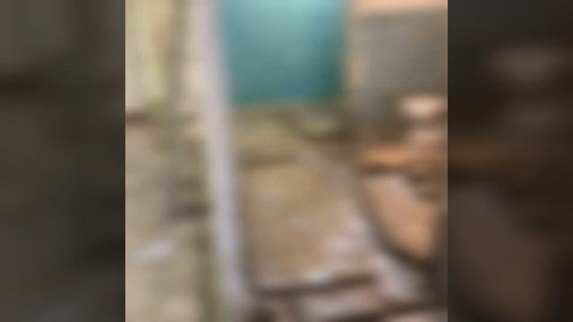 Студия в «хрущевке». Этап 1-й. смотреть онлайн