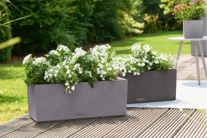 Кашпо для цветов ? LECHUZA BALCONERA Stone 50 с автополивом ? #lechuzamoscow #автополив