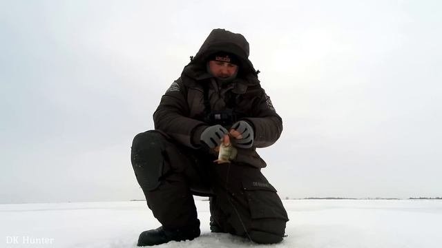 Попали на жор окуня в глухозимье! Нужно было сразу ставить эту мормышку! #безмотылка #окунь