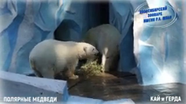 Медведица Герда завтракает за себя и "за того парня" смотреть онлайн