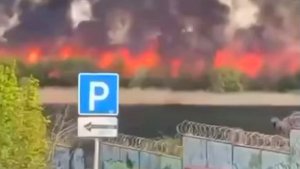 Чёрный дым над Херсоном 28.04.2022 Человек-Природа или ракета? Живность в плавнях, лиман
