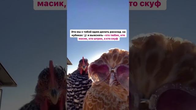 Запись на расклады на чакральных кубиках в тг-канале «Что-то там с Кристиной Голубевой» #прогноз