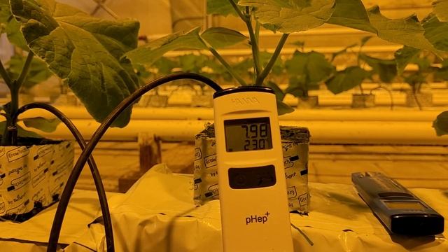 Выжимка , контроль ЕС и ПШ в матах. смотреть онлайн