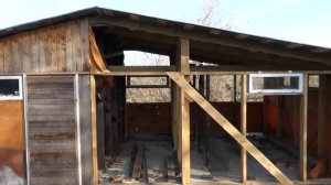 Телятник Ласточкино гнездо: ветрозащита, окна, двери