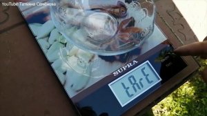 ?Орхидеи и уголь.☝️  Польза или вред.?Бомба замедленного действия?