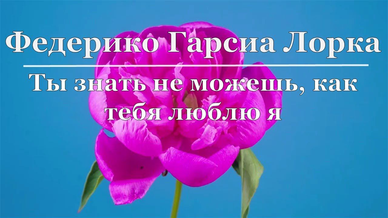Федерико Гарсиа Лорка - Ты знать не можешь, как тебя люблю я смотреть онлайн