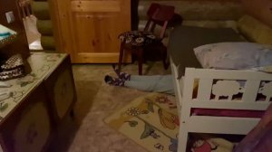 Уколы от кролика… Жуткий кролик испортил вечеринку, укола избежать не удалось никому