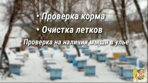 Календарь пчеловода. Январь. Контроль хода зимовки. Пополнение кормов и изгнание мыши.