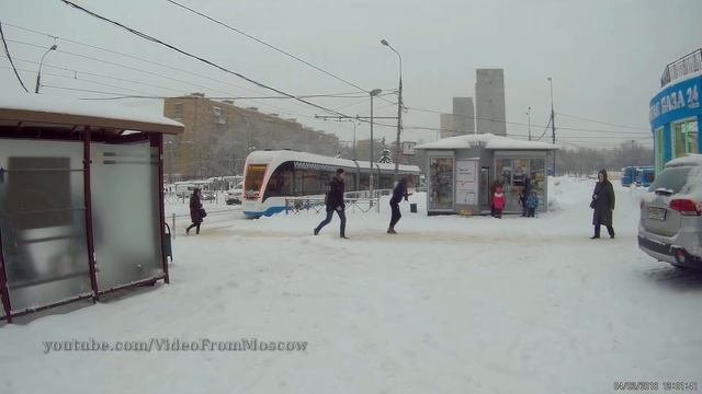 Снежный Витязь // 2018