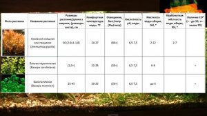 Таблица параметров содержания аквариумных растений Table of the main parameters of aquarium plants