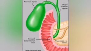 Травмы Дубининой Людмилы