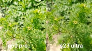 Huawei p60 pro vs Samsung Galaxy s23 ultra camera test