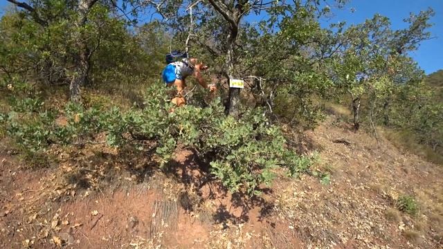 каменные грибы сотера ? мировые природные шедевры ? Поиск клада на водопаде смотреть онлайн