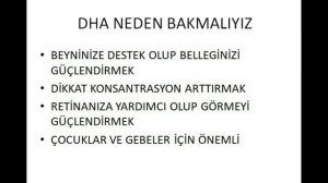 Epa ve Dha Zengini En iyi Balık Yağı ve Omega 3 ler Hangileri