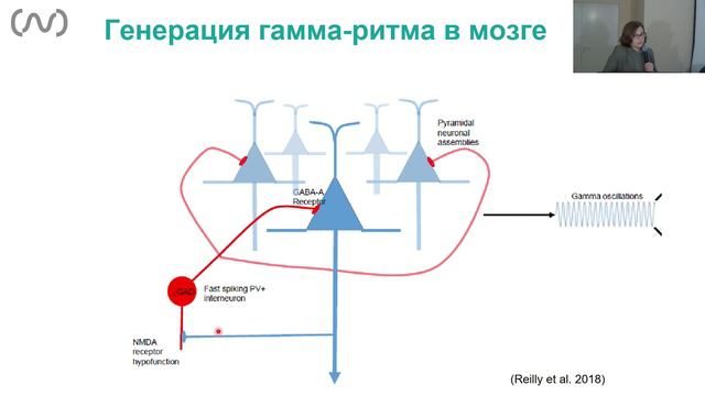 Нейрофизиологические профили для понимания связи генов и психики