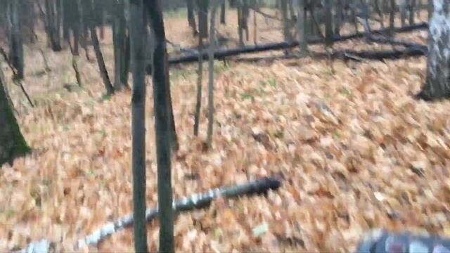 ОФФРОУД ПО ЛЕСАМ И ПОЛЯМ г.Заинска ЗАБЛУДИЛИСЬ В ЛЕСУ РОЗЫГРЫШ АВТОМОБИЛЯ "РРРевущие моторы" смотреть онлайн