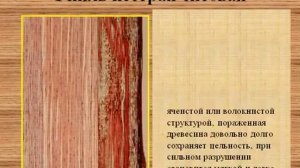 Пороки древесины