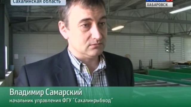 Вести-Хабаровск. На Сахалине занялись воспроизводством тайменя смотреть онлайн