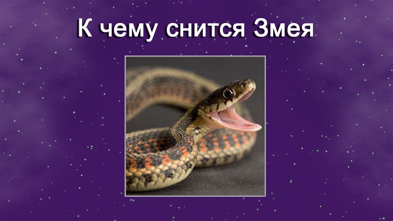 К чему снится змея (Сонник)