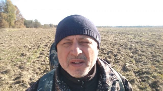 Прогулка по Новой Москве. Исторические зарисовки. смотреть онлайн