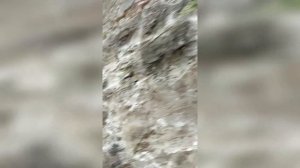 Обзор на Французский замок (Миасс)