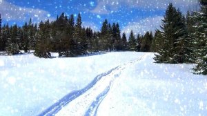 Песни моего поколения, мы это слушали и пели.  Белым снегом