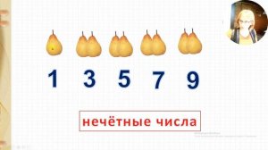 На 24 11 мой видеоурок прсчитывание и отсчитывание по 2  стр 94 95 учебника