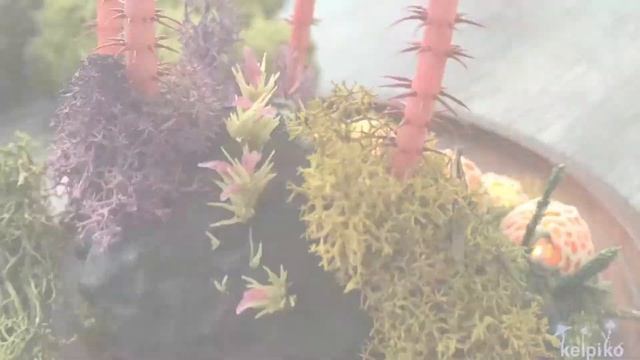 Ветреница смотреть онлайн