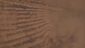 Одноэтажный дом в современном стиле. 179м2