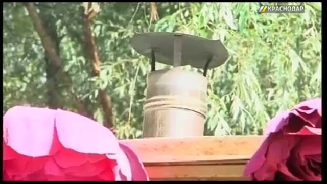 Первышов на «Стереопикнике» предложил повесить в парке 30-летия Победы натяжной экран смотреть онлайн