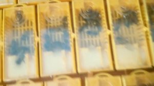 Матки 2022 года. 10 мая.