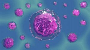 Валин, Лейцин, Изолейцин, Глюкоза крови, Поглощение глюкозы мышцами