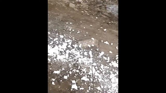 прикол с монтажной пеной смотреть онлайн