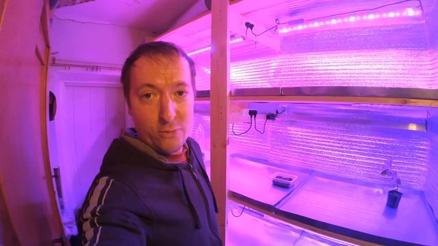 ДЕЛАЮ СТЕЛЛАЖ ДЛЯ РАССАДЫ, КОТОРЫЙ ПРИНЕСЁТ 200000 РУБЛЕЙ. ПОДРОБНО О ФИТОЛАМПАХ. ВЫБОР ФИТОЛАМП.
