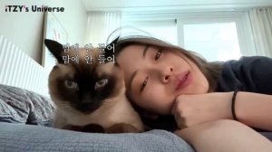 Выходные влоги с ITZY (Рюджин)