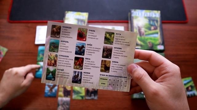 Настольная игра «Экосистема», правила