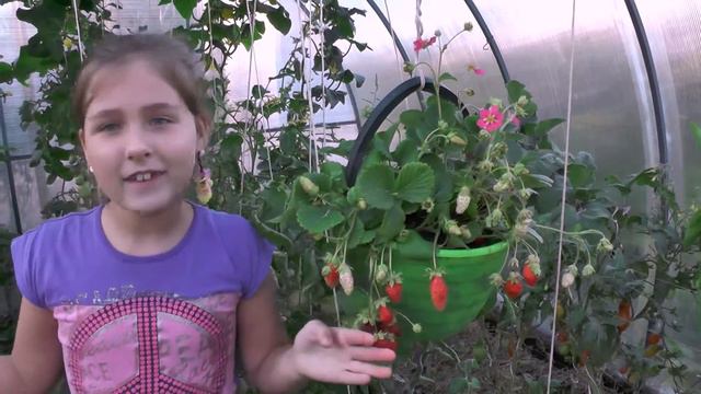 ЧАРОВНИЦА смотреть онлайн