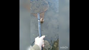 14 июня 2023 г.