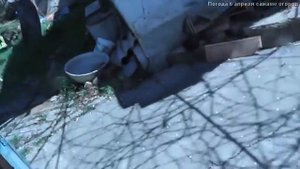 погода Крым 6 апреля / сажаем огород