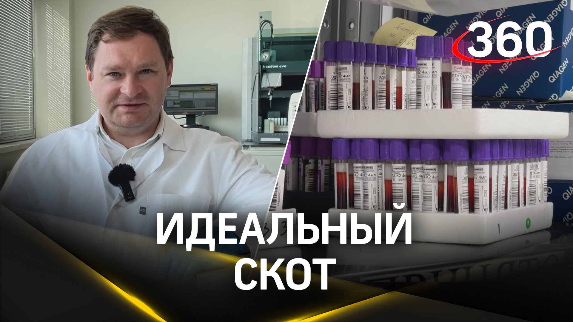 Расскажем и покажем: как работает один из лучших в мире центров геномной селекции