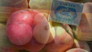Сорт яблони Мальт багаевский