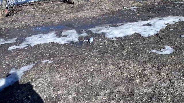 Москва Перово! 22 марта 2022 года(2) смотреть онлайн