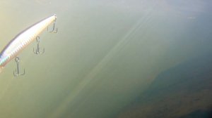 Китайский воблер JINBE 110 SP от Allblue в воде