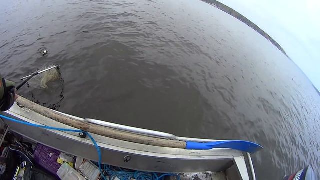 Пробуем ловить судака.Товарищ впервые ловит джигом. Закрытие сезона жидкой воды 2016 смотреть онлайн